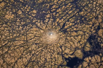 Freshwater marshland, swamp landscape with small island with termite hill, aerial view, Okavango