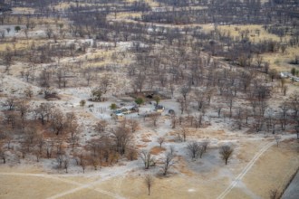 Houses in a dry savanna landscape, near Maun, aerial view, Okavango Delta, Botswana