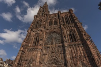 Strasbourg's Notre Dame Cathedral stands majestically there. Its magnificent architectural details