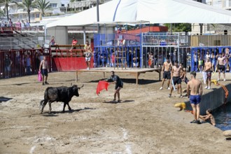 Bous a la Mar Fair, in English Bulls in the Sea, Bullfighting, Javea or Xàbia, Alicante Province,