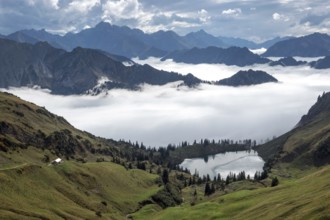 View of Seealpsee and Allgäu Alps, mountains rising from fog in the valley, Nebelhorn, Oberstdorf,