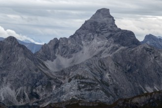 Hochvogel summit, Allgäu Alps, Allgäu, Bavaria, Germany