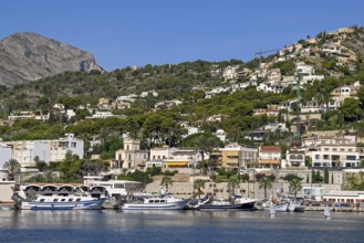 View of the port of Jávea or Xàbia, Alicante Province, Comunidad Valenciana, Spain
