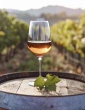 A glass of 10-year-old tawny wine placed on a barrel in a vineyard restaurant, vineyard landscape