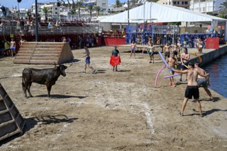 Bous a la Mar Fair, in English Bulls in the Sea, Bullfighting, Javea or Xàbia, Alicante Province,