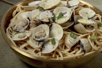 Spaghetti with vongole clams, in cream sauce, carbonara, in a brass pan, homemade, top view, no