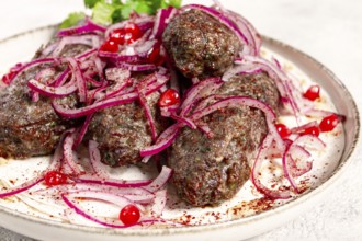 Grilled kebabs topped with onions and pomegranate on a white plate in a bright kitchen setting