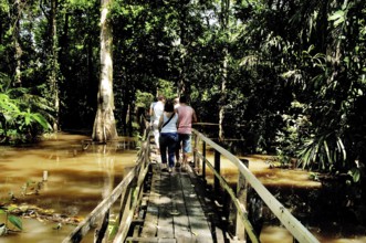 Parque Ecológico do Lago Janauari, Manaus, Amazonas, Brazil