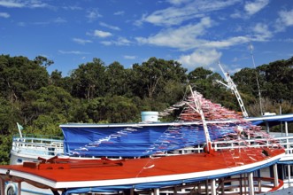 Parque Ecológico do Lago Janauari, Manaus, Amazonas, Brazil