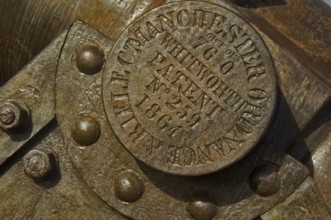 Canyon detail, Belém, Pará, Brazil