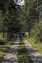 Street, Santo Antônio do Pinhal, São Paulo, Brazil