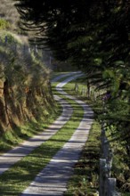 Street, Santo Antônio do Pinhal, São Paulo, Brazil