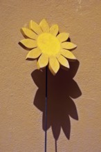 Flower, Craftmanship Wood, Santo Antônio do Pinhal, São Paulo, Brazil