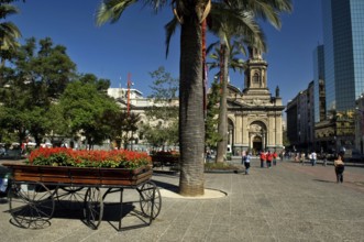 Wagon of Flowers, Armas Square, Santiago, Chile