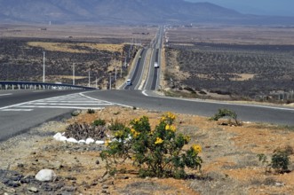 Panamericana road, Rute 5, Canela Baja, Chile