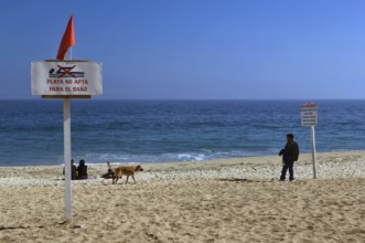 Acapulco Beach, Viña Del Mar, Chile