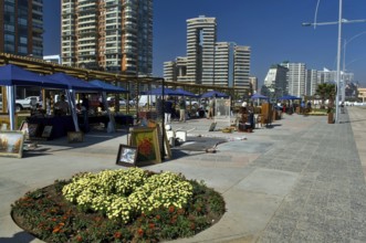 Antiques things fair, El Sol Beach, Viña Del Mar, Chile