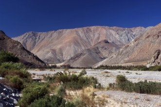 Quebrada Del Calvário, Vicuña, Chile
