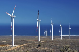 Eólico Park of Canela, Canela, Chile