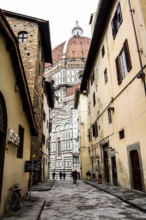 Street in historic center of Florence. Florence, Province of Florence, Italy