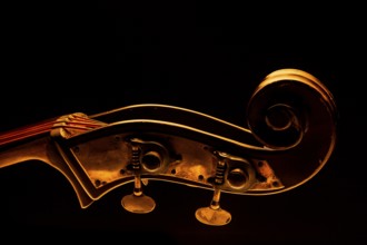 Musical instrument, contrabass