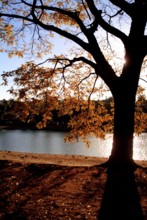 Pampulha Lake, Belo Horizonte, Minas Gerais, Brazil