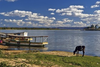 Boats, São Francisco River, Ibotirama, Bahia, Brazil