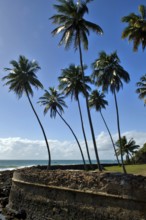 Ruins of Fortress of Tapirandu, Morro de São Paulo, Ilha de Tinharé, Bahia, Brazil