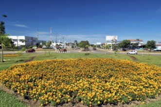 NS-1 Avenue, Palmas, Tocantins, Brazil