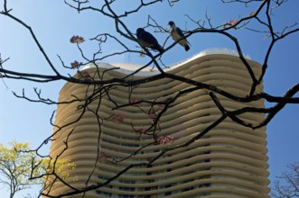 Niemeyer Building, Copanzinho, Liberdade Square, Obra de Osca Niemeyer, Belo Horizonte, Minas