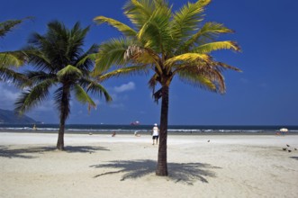 Beach of the Baia do Sancho, Santos, São Paulo, Brazil