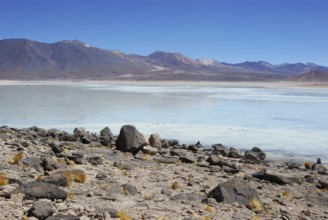 Laguna Blanca - Reserva nacional de fauna andina Eduardo Abaroa - Deserto do Lipez - Departamento