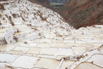 Salineras (ou Salinas) de Maras - Valle Sagrado de los Incas - Region de Cusco - Perú ATENÇÃO: NÃO