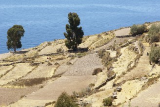 Isla Taquile - Lago Titicaca - Perú ATENÇÃO: NÃO PODEMOS REPRESENTAR ESSA IMAGEM FORA DA AMERICA