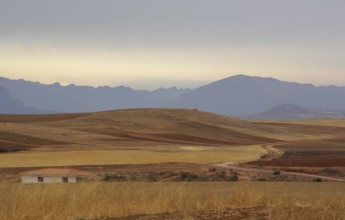 Moray - Valle Sagrado de los Incas - Region de Cusco - Perú ATENÇÃO: NÃO PODEMOS REPRESENTAR ESSA