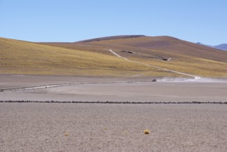 Sector Lagunas Miscanti y Miñiques, Los Flamencos Reserve National, Atacama Desert, Region de