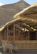 Sicuani, Worth Sacred of Los Incas, Region of Cusco, Lima, Peru