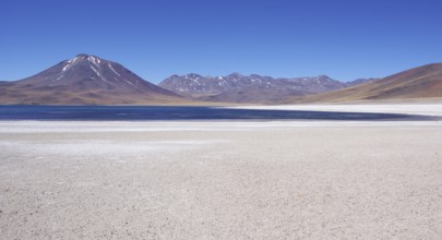 Laguna Miscanti, Los Flamencos Reserve National, Atacama Desert, Region de Antofagasta, Santiago,