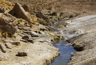 Thermal waters, Atacama Desert, Region of Antofagasta, Santiago, Chile