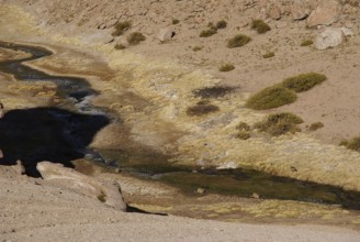 Thermal waters, Atacama Desert, Region of Antofagasta, Santiago, Chile