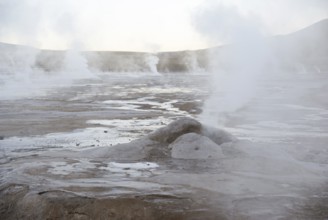 Geysers El Tatio, Atacama Desert, Region of Antofagasta, Santiago, Chile