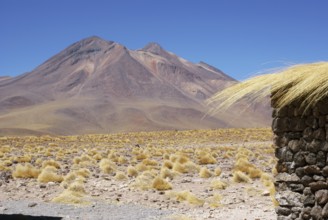 Sector Lagunas Miscanti y Miñiques - Reserva Nacional Los Flamencos - Deserto do Atacama - Região