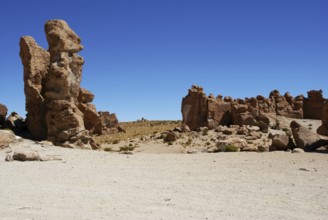 Rock Forest, Desert of Lipez, Department of Potosi, Sud Lipez Province, La Paz, Bolívia