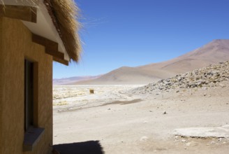 Estacion termale, Reserva nacional de fauna andina Eduardo Abaroa, Deserto do Lipez, Departamento