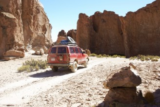 Rock Forest, Desert of Lipez, Department of Potosi, Sud Lipez Province, La Paz, Bolívia
