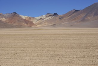 Desert of Of there, Reserves national of Andean fauna Eduardo Abaroa, Desert of Lipez, Department