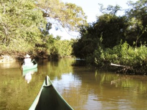 People Walking of Boat, Pantanal, Mato Grosso do Sul, Brazil