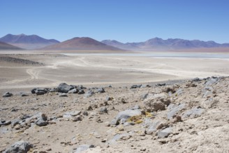 Laguna Blanca, Desert of Lipez, Department of Potosi, Sud Lipez Province, La Paz, Bolívia