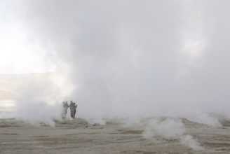 Geysers El Tatio, Atacama Desert, Region of Antofagasta, Santiago, Chile