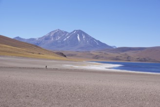 Laguna Miscanti, Los Flamencos Reserve National, Atacama Desert, Region de Antofagasta, Santiago,